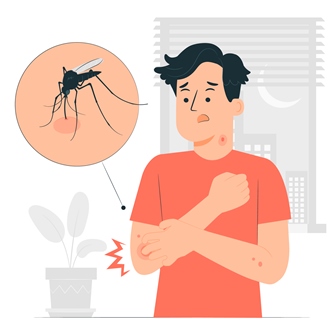 Alimentação Saudável para Combater a Dengue: Um Guia Essencial para a Recuperação